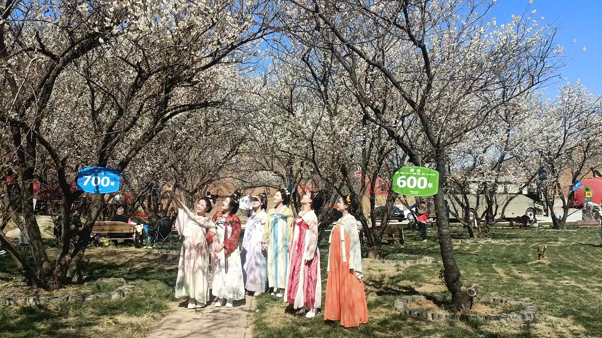 通过综合病虫害管理包改善农业