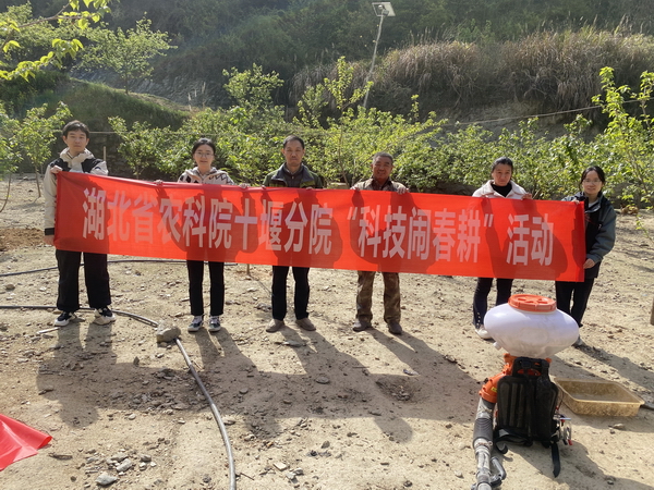 春耕一线开“良方”科技为樱桃园披“护甲”